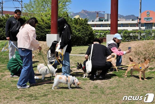 페스룸은 19일 서울시 발라당입양센터에서 봉사활동을 진행했다.(페스룸 제공) ⓒ 뉴스1