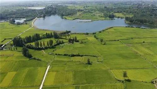 후베이성 상양시에 조성된 고표준 농지 [인민망 캡처. 재판매 및 DB 금지]