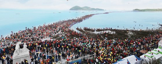 전남 진도군 회동리와 모도 일원에서 열린 ‘신비의 바닷길축제’ 모습. 관광객들이 바다 사이로 드러난 길을 오가고 있다. [사진 진도군]