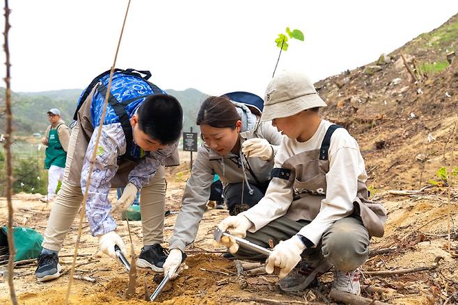 [서울=뉴시스]  한화그룹이 지난해 산불 피해를 본 경북 봉화군 화천리 일대에 10번째 '태양의 숲'을 조성한다. (사진=한화그룹 제공) 2023.04.23. photo@newsis.com *재판매 및 DB 금지