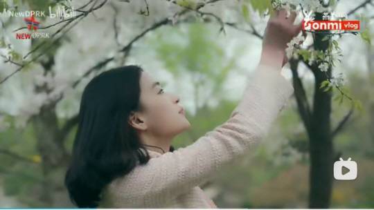 빌리빌리 연미의 브이로그 캡처