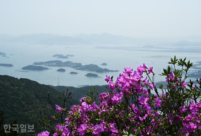 깃대봉 철쭉 너머로 대도 주변 작은 섬들이 보인다.