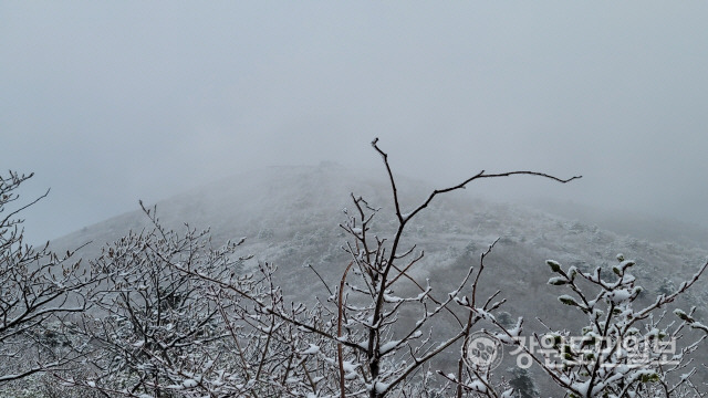 ▲ 26일 민족의 영산 태백산(1567m)에 전날부터 눈이 내려 아름다운 설경을 연출하고 있다. 사진제공= 태백산국립공원