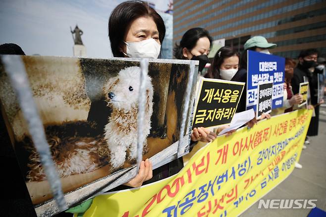 [서울=뉴시스] 김진아 기자 = 한국동물보호연합 관계자 등이 서울 종로구 광화문광장에서 국제 강아지의 날을 맞아 양평 개 1,200여마리 아사 사건 규탄, 강아지 공장 폐쇄 촉구 기자회견을 하고 있다. 2023.03.23. bluesoda@newsis.com