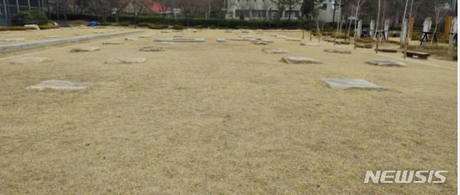 안양사지 전경.