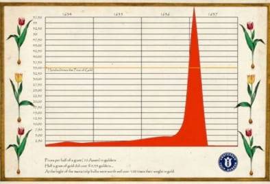 당시 튤립 가격 그래프.