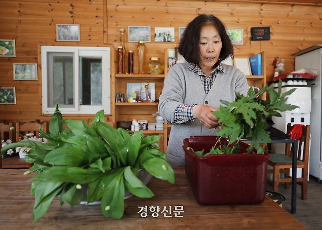 조순정 대표가 산남눌 초절임을 하고 있다.      한수빈 기자