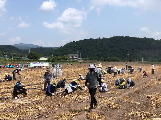 농촌일손돕기. 경남도청 제공