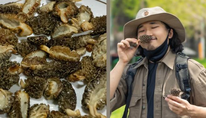 버터와 소금으로 구워낸 곰보버섯. 박상영작가는 오래 숙성된 쿰쿰한 치즈향과 꼬들꼬들한 식감 덕분에 보통 버섯과는 전혀 다른 느낌이었다고 곰보버섯의 맛을 표현했다.박상영 제공