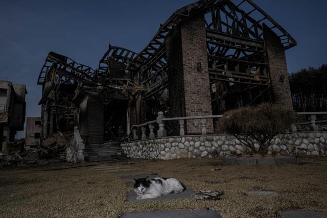 강릉 저동의 한 주택이 산불에 전소되며 뼈대만 앙상하게 남아 있다.