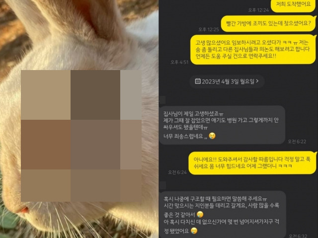 지난 2일 A씨가 동행자와 구조하려고 했던 토끼 사진이다. 눈 주변 털이 빠져있고, 염증도 있다.(왼쪽) 토끼보호협회 인스타그램 캡처. 토끼를 구조하러 분당중앙공원에 갔던 A씨가 동행자와 동행 전후 나눈 메시지 캡처본(오른쪽). 토끼를 기르는 사람들은 서로를 '토끼 집사'라고 부른다. A씨 제공