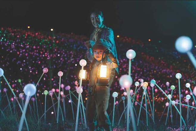 센소리오 빛의들판. (사진=캘리포니아관광청 제공) photo@newsis.com *재판매 및 DB 금지