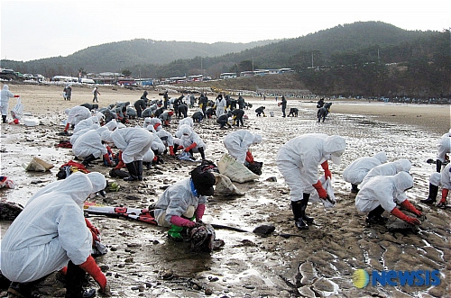 【대전=뉴시스】 지난 2007년 12월 원유 유출지역인 태안 구름포해수욕장에서 자원봉사자들이 기름띠 제거 작업에 참여하고 있는 모습. (사진= 뉴시스 DB) photo@newsis.com