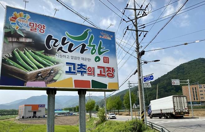 '맛나향 고추의 고장' 밀양 [촬영 이정훈 기자]