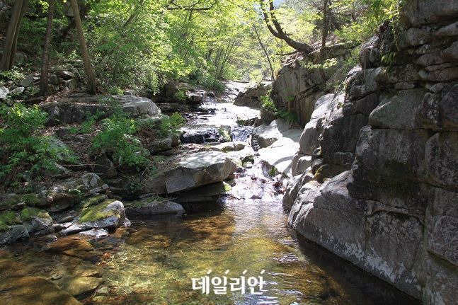 팔공산 치산계곡 모습. ⓒ뉴시스