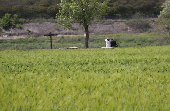 시민들이 청보리밭에서 휴식을 취하고 있는 모습. 사진|연합