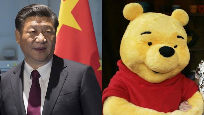 시진핑 중국 국가주석(왼쪽)과 곰돌이 푸(오른쪽) /사진 = 레딧