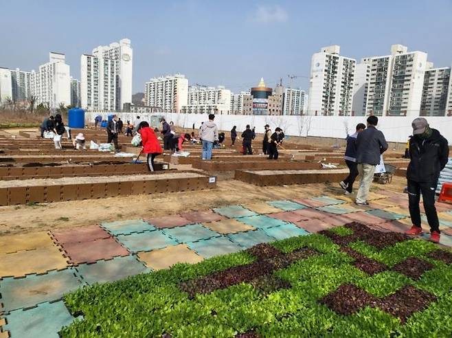 인천 부평구 공영 텃밭 [사진제공=인천광역시 부평구]