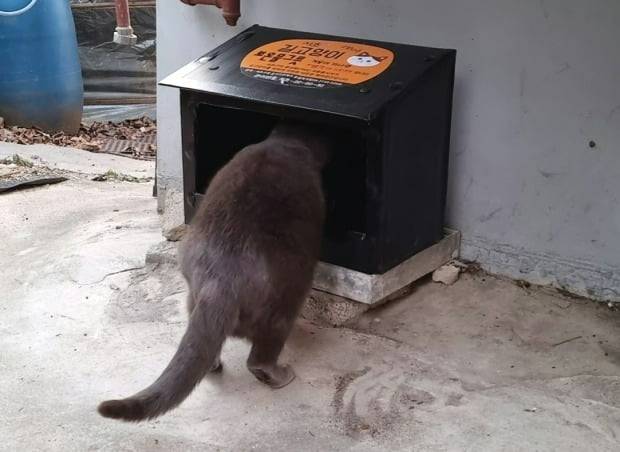 사진은 기사와 무관함. /사진=한경DB