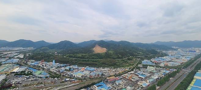 [창원=뉴시스] 강경국 기자 = 경남 창원시 의창구 차용동 팔룡 도시자연공원구역 일원에 조성 중인 주한미군 전용 소총 사격장 공사 현장에서 대규모 벌목이 진행되고 있다. (사진=독자 제공). 2023.05.03. photo@newsis.com *재판매 및 DB 금지