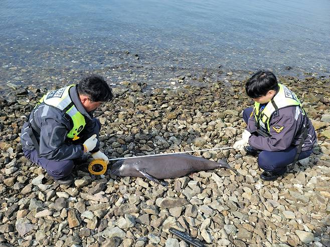 사천해양경찰서 제공