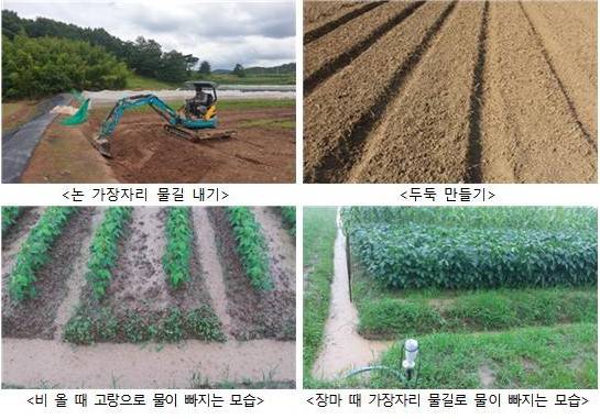 ▲ⓒ농촌진흥청