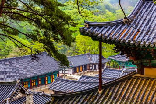 (해당 기사와 직접적인 관련없음) 이미지투데이