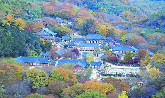 화엄사 전경. 전라남도 제공