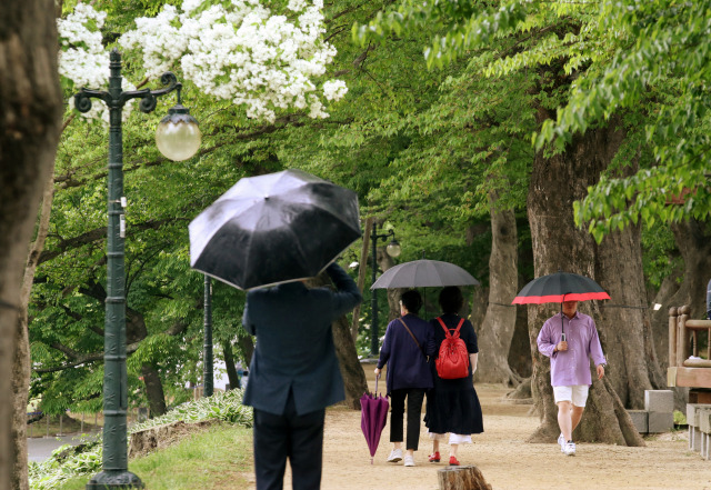 어린이날 연휴를 하루 앞둔 4일 전남 담양관방제림에서 시민들이 우산을 쓰고 산책하고 있다. 연합뉴스