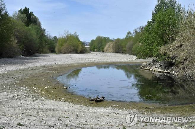 가뭄으로 마른 프랑스 남서부 리브잘트 강 [AFP=연합뉴스 자료사진. 재판매 및 DB 금지]