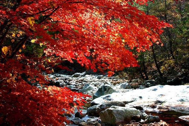 경북 영양군 일월산 풍경 [경북 영양군 제공, 재판매 및 DB 금지]