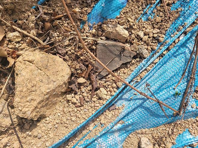 '신영동 유적' 인근에서 발견된 유물  서울 종로구 신영동 유적과 가까운 곳에서 발견된 유물. 현장 관계자 등에 따르면 이곳에서도 고려 때 만들어진 것으로 추정되는 기와 파편 등이 확인됐다. [독자 제공. 재판매 및 DB 금지]