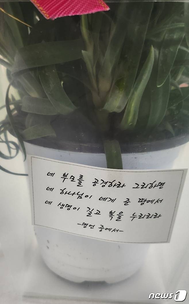 A학교 교장이 어버이날을 맞아 각 가정에 선물한 카네이션 화분(독자 제공)