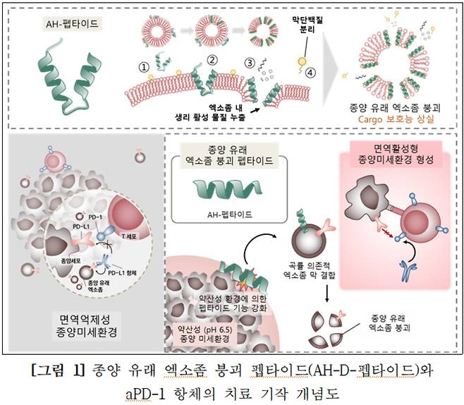 사진= 보건산업진흥원