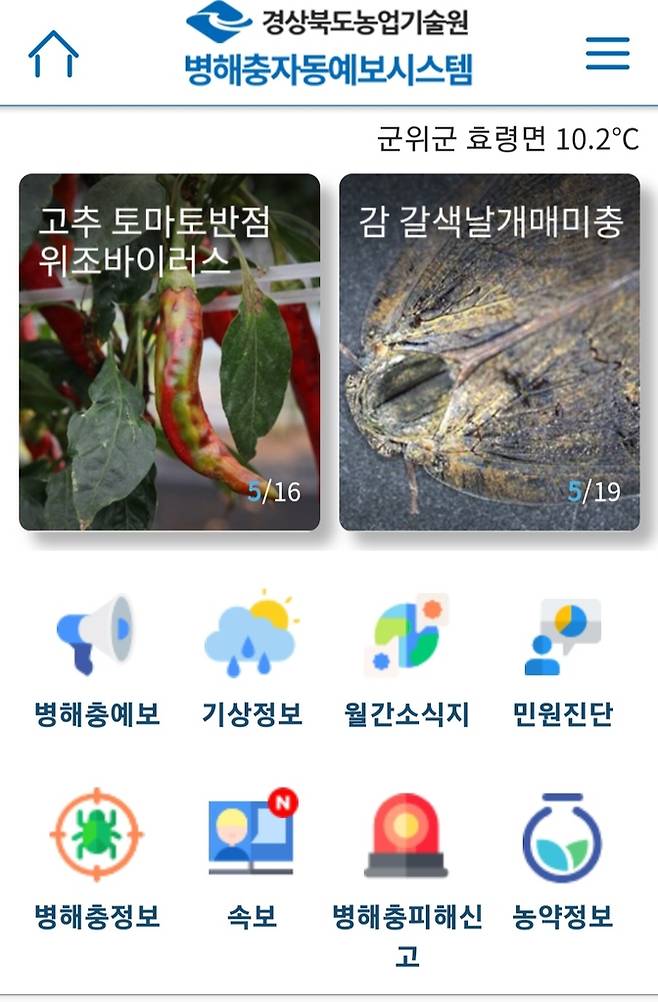 병해충 자동 예보 앱 [경북도 제공. 재판매 및 DB 금지]