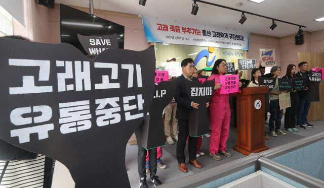 11일 오후 울산시 남구청 프레스센터에서 7개 시민단체가 울산고래축제를 규탄하고 혼획 고래의 유통과 판매 금지를 촉구하는 기자회견을 하고 있다. 울산=연합뉴스