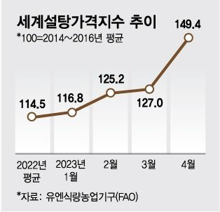 /그래픽=김다나 디자인기자