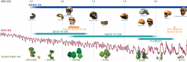 호모종 진화와 식생 (자료=IBS)