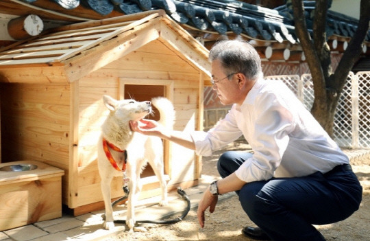 김정은 북한 국무위원장이 선물한 풍산개 '곰이'와 문재인 전 대통령. 연합뉴스