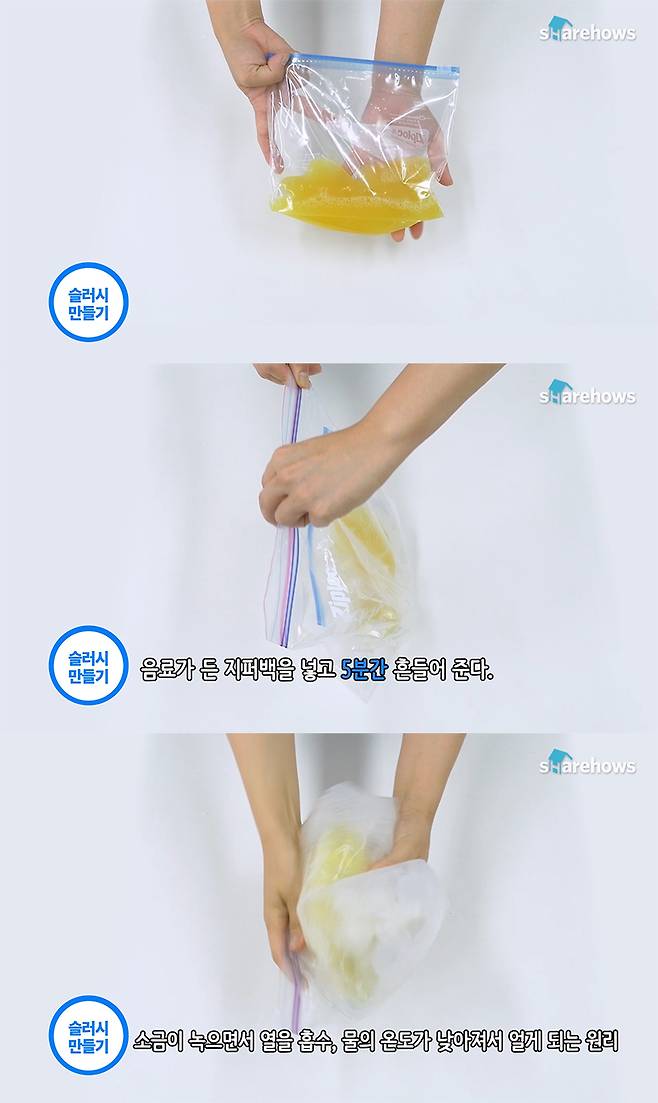 homemade-ice-snack 03