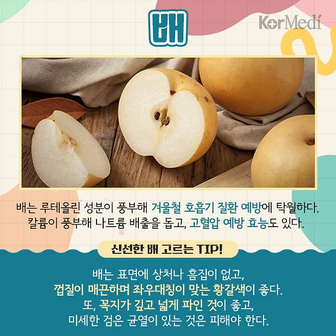 [그래픽= 최소연 디자이너]