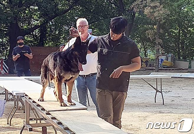 한국애견협회는 12일 서울 광진구 어린이회관 행사장에서 캐릭터테스트를 진행했다. ⓒ 뉴스1 최서윤 기자