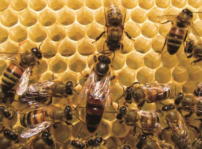 게티이미지뱅크 제공