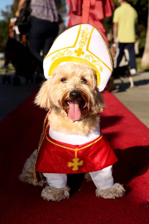 게티이미지뱅크