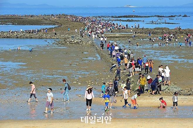 '신비의 바닷길'로 유명한 충남 보령시 무창포마을 모습. ⓒ한국어촌어항공단