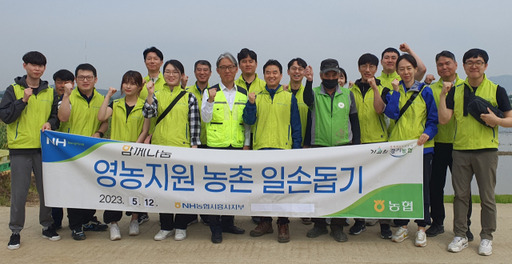 농협은행 카드디지털사업부가 최근 시흥시 소재 농촌마을을 방문해 농촌일손돕기를 펼쳤다고 14일 밝혔다. 농협시흥시지부