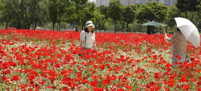 기사 특정 내용과 무관. 뉴스1