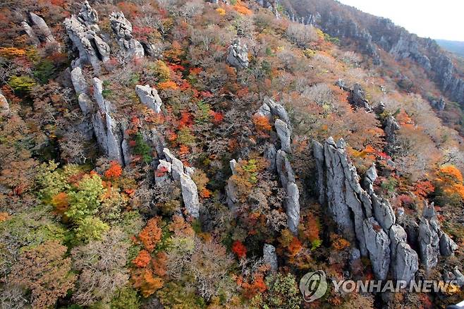 한라산 영실기암의 만추 (제주=연합뉴스) 설문대할망과 오백장군의 이야기로 잘 알려진 한라산 영실기암이 울긋불긋 단풍옷을 갈아입고 아름다움을 뽐내고 있다. [연합뉴스 자료사진]