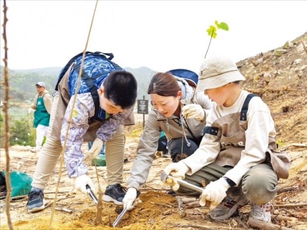 한화그룹 직원과 인근 초등학교 학생들이 태양의 숲 조성을 위해 나무를 심고 있다. /한화 제공