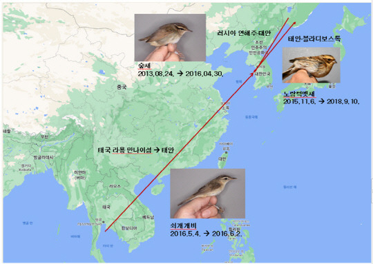 태안해안국립공원 가락지부착조사 국외 이동경로 확인 사례. <국립공원공단>